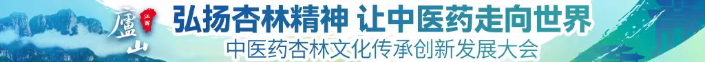 想要晚上看啊啊日本中医药杏林文化传承创新发展大会